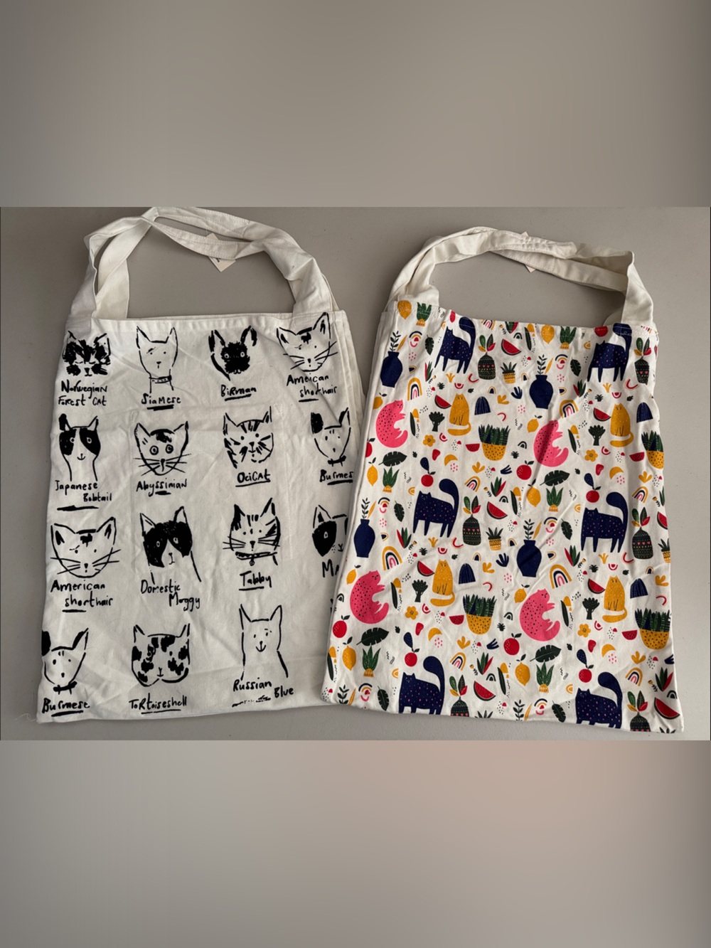 2 world market double tote bags